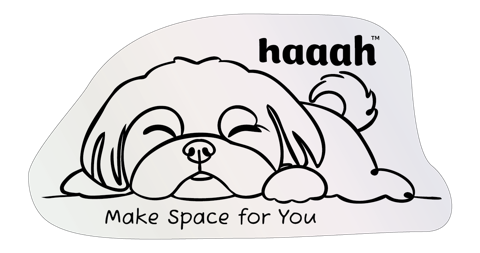Cookie the Shih Tzu — Make Space for You