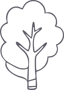 Core 13+ icon